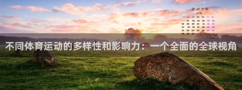 不同体育运动的多样性和影响力：一个全面的全球视角