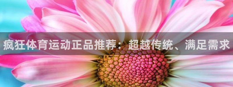 疯狂体育运动正品推荐：超越传统、满足需求