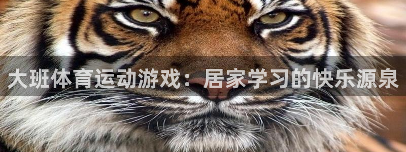 大班体育运动游戏：居家学习的快乐源泉
