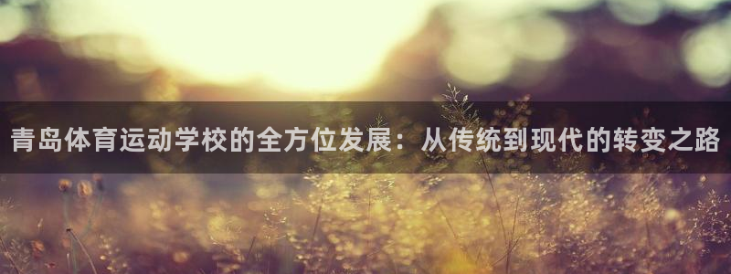 青岛体育运动学校的全方位发展：从传统到现代的转变之路