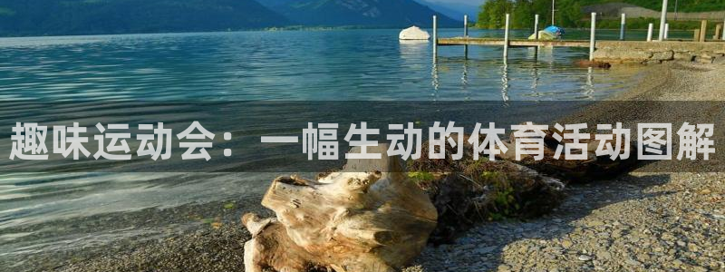 趣味运动会：一幅生动的体育活动图解