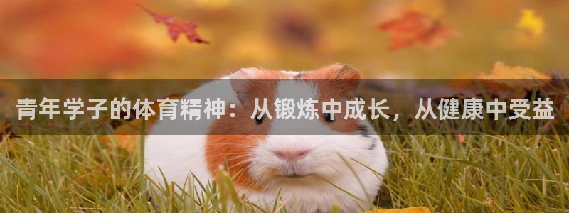 青年学子的体育精神：从锻炼中成长，从健康中受益