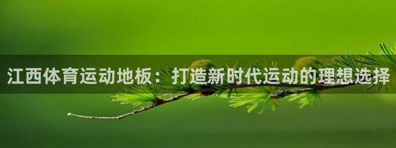 江西体育运动地板：打造新时代运动的理想选择