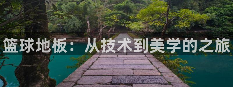 篮球地板：从技术到美学的之旅
