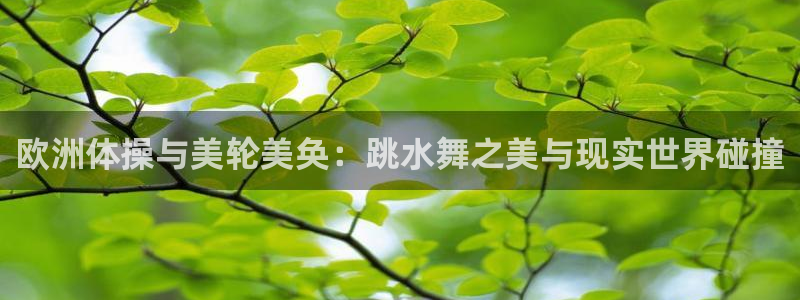 欧洲体操与美轮美奂：跳水舞之美与现实世界碰撞