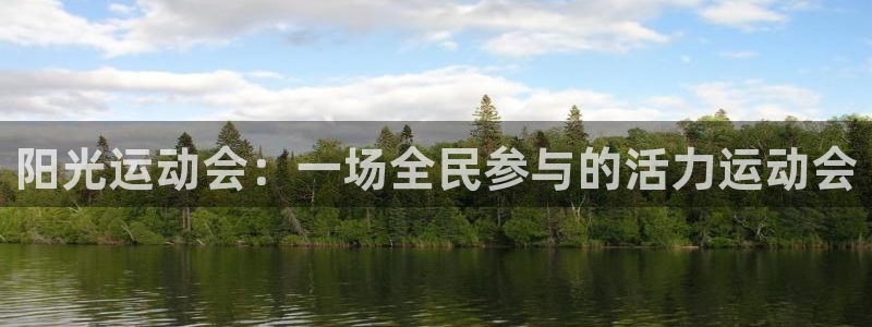 阳光运动会：一场全民参与的活力运动会