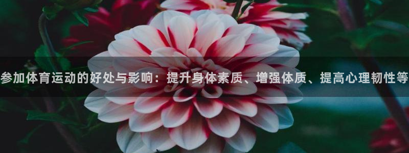 参加体育运动的好处与影响：提升身体素质、增强体质、提高心理韧性等